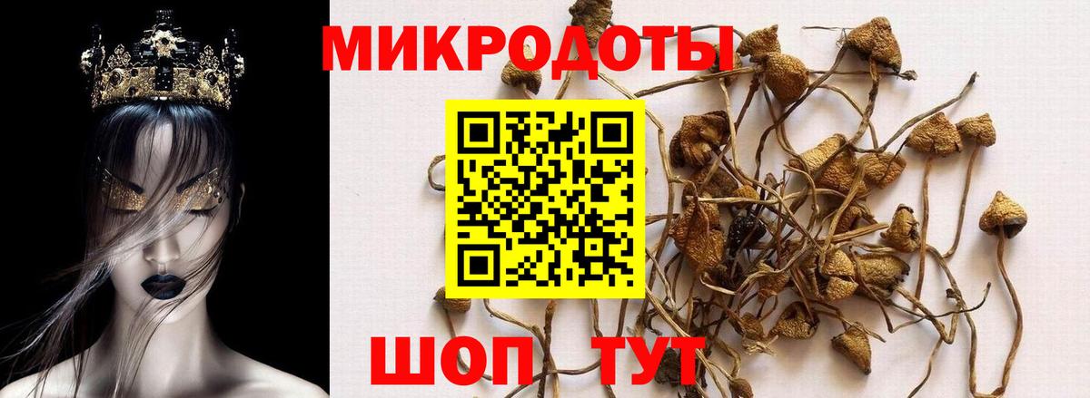 Псилоцибиновые грибы Psilocybe  Вход с VPN  Йошкар-Ола 