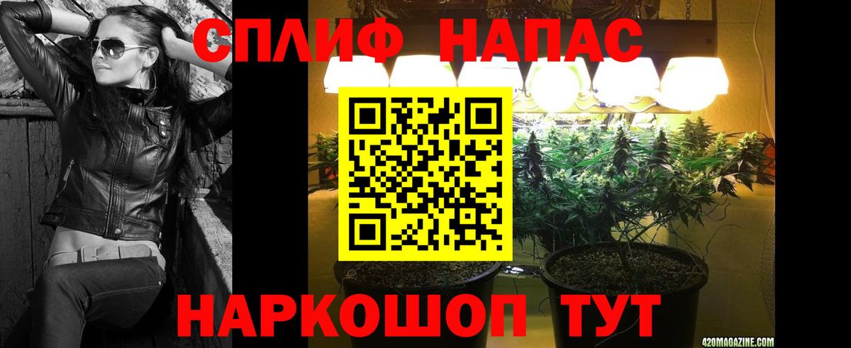 Бошки Шишки план Йошкар-Ола